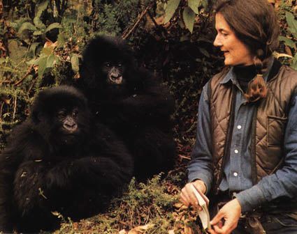 Fossey Dian (1932—1985) «Gorillas in the Mist»