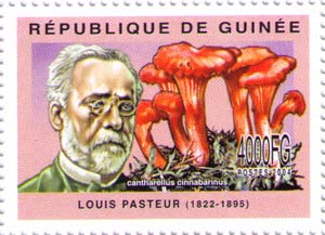 Louis Pasteur, fungus