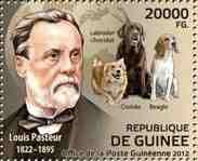 Lois Pasteur, dogs
